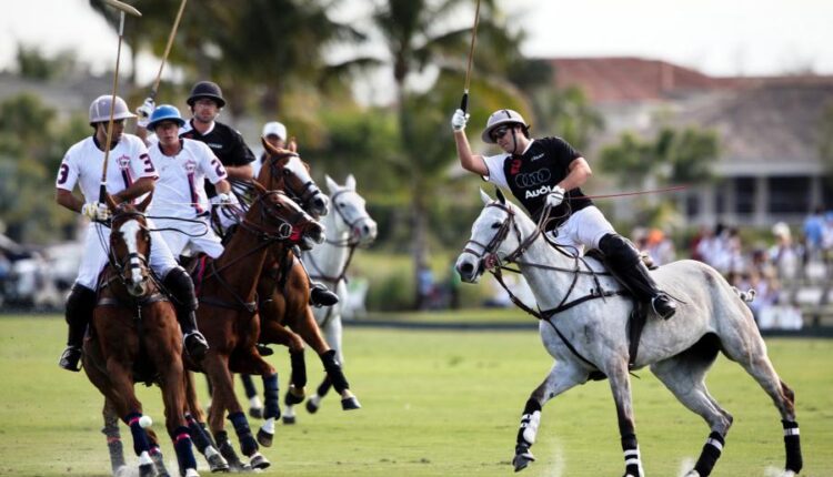 سری شصت و نهم والپیپر برای دسکتاپ   Beautiful Wallpapers