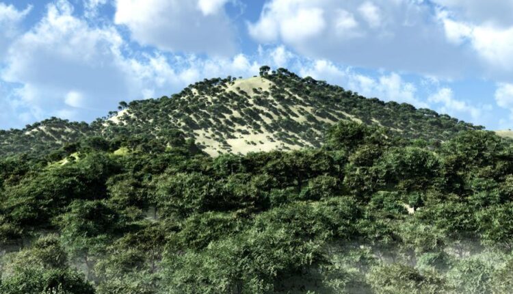 سری شصت و نهم والپیپر برای دسکتاپ   Beautiful Wallpapers