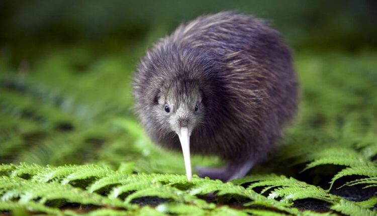 سری شصت و نهم والپیپر برای دسکتاپ   Beautiful Wallpapers