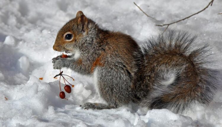 سری شصت و نهم والپیپر برای دسکتاپ   Beautiful Wallpapers