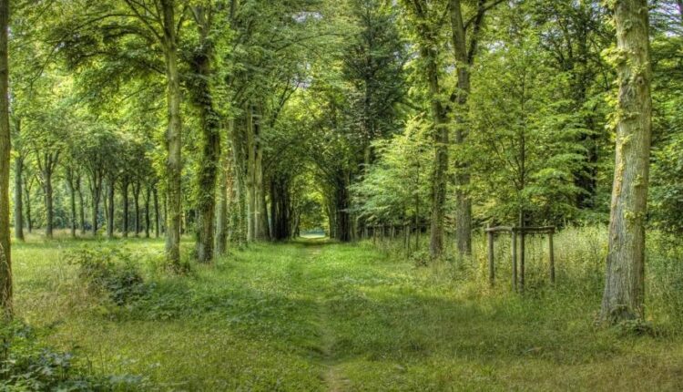 سری شصت و نهم والپیپر برای دسکتاپ   Beautiful Wallpapers