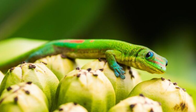 سری شصت و نهم والپیپر برای دسکتاپ   Beautiful Wallpapers