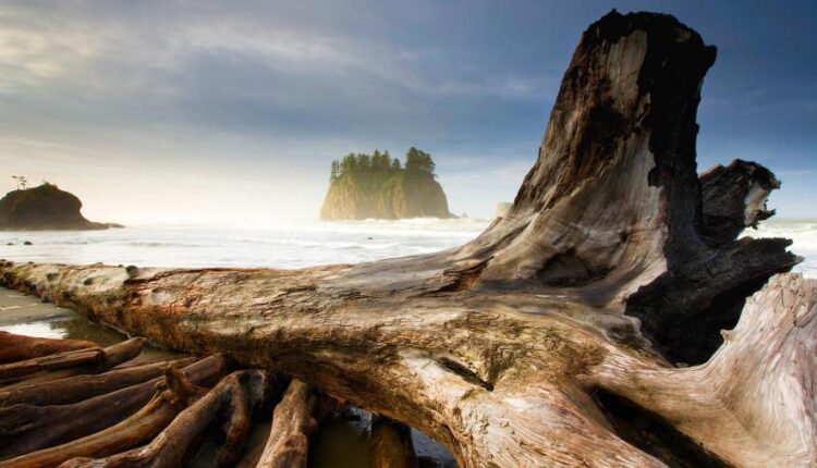 سری شصت و نهم والپیپر برای دسکتاپ   Beautiful Wallpapers