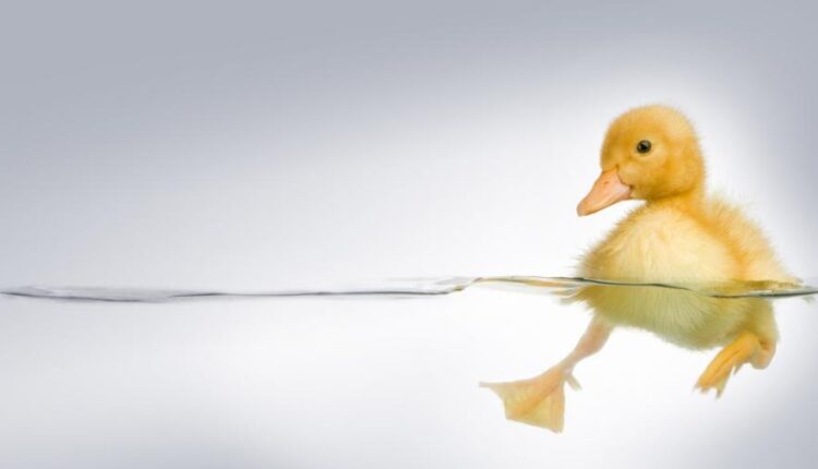 سری شصت و نهم والپیپر برای دسکتاپ   Beautiful Wallpapers