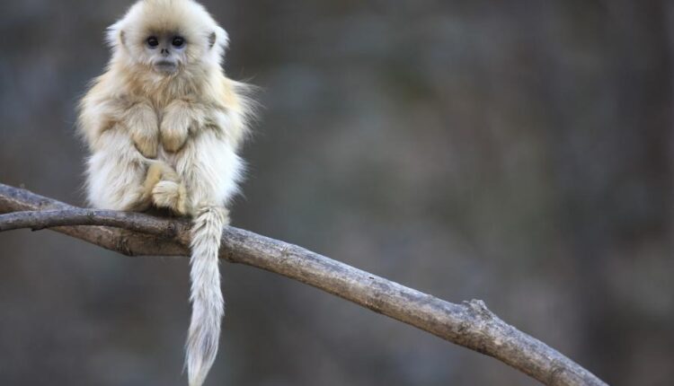 سری شصت و نهم والپیپر برای دسکتاپ   Beautiful Wallpapers