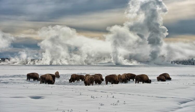 سری شصت و نهم والپیپر برای دسکتاپ   Beautiful Wallpapers