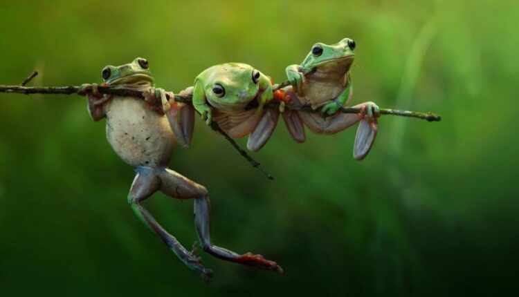 سری شصت و نهم والپیپر برای دسکتاپ   Beautiful Wallpapers