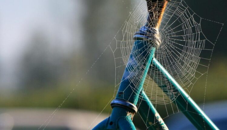 سری شصت و پنجم تصویر زمینه برای کامپیوتر   Wallpapers