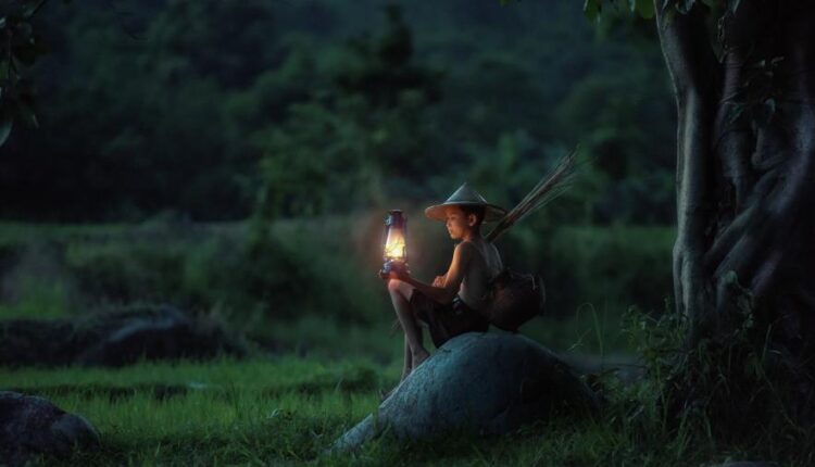 سری شصت و پنجم تصویر زمینه برای کامپیوتر   Wallpapers