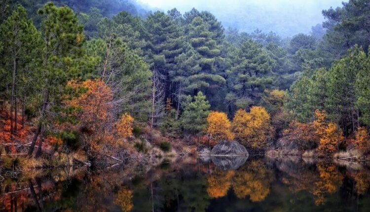 سری شصت و پنجم تصویر زمینه برای کامپیوتر   Wallpapers