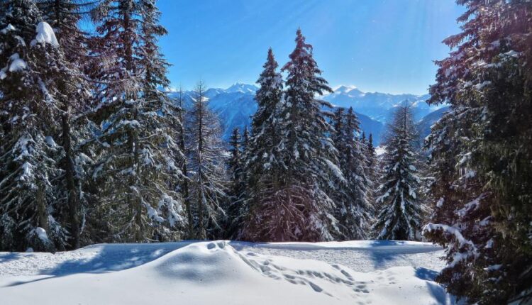 سری شصت و پنجم تصویر زمینه برای کامپیوتر   Wallpapers