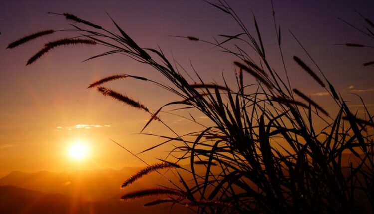 سری شصت و پنجم تصویر زمینه برای کامپیوتر   Wallpapers