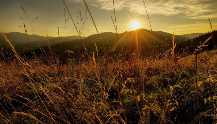 سری شصت و پنجم تصویر زمینه برای کامپیوتر   Wallpapers