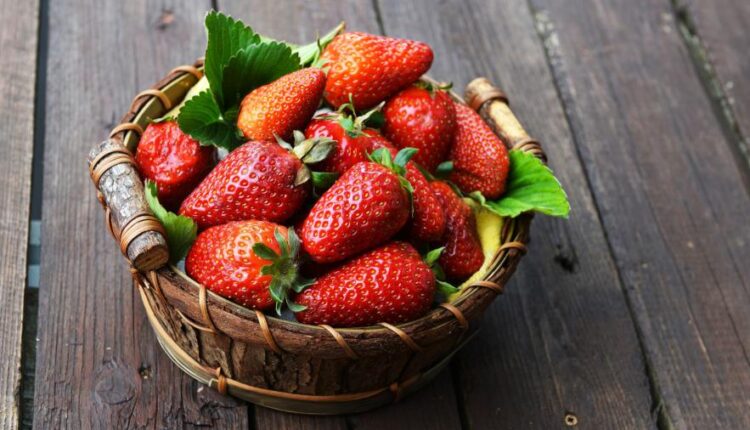 سری شصت و پنجم تصویر زمینه برای کامپیوتر   Wallpapers