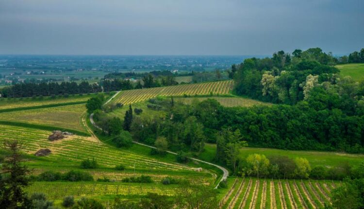 سری شصت و پنجم تصویر زمینه برای کامپیوتر   Wallpapers