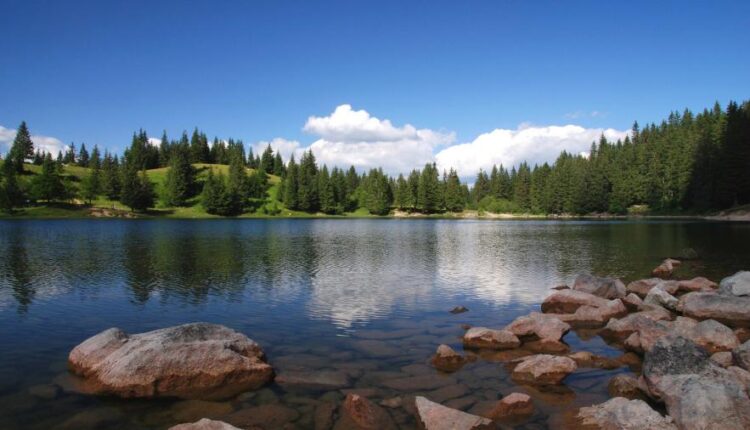 سری شصت و پنجم تصویر زمینه برای کامپیوتر   Wallpapers