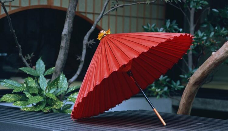 سری شصت و پنجم تصویر زمینه برای کامپیوتر   Wallpapers