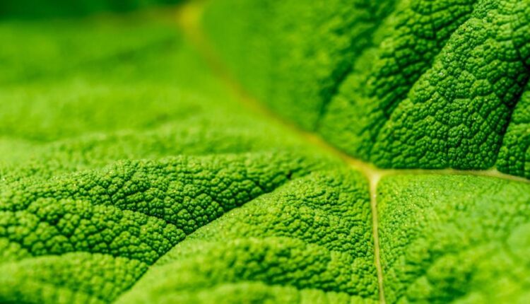 سری شصت و پنجم تصویر زمینه برای کامپیوتر   Wallpapers