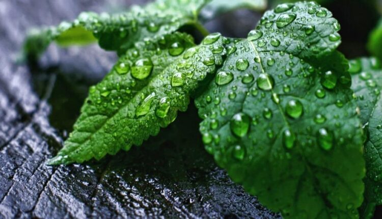 سری شصت و هشتم والپیپر برای کامپیوتر   Beautiful Wallpapers