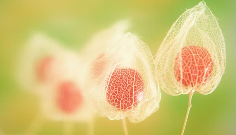 سری شصت و هشتم والپیپر برای کامپیوتر   Beautiful Wallpapers