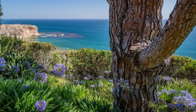 سری شصت و هشتم والپیپر برای کامپیوتر   Beautiful Wallpapers