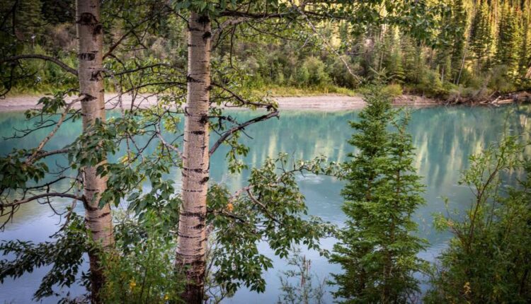 سری شصت و هشتم والپیپر برای کامپیوتر   Beautiful Wallpapers