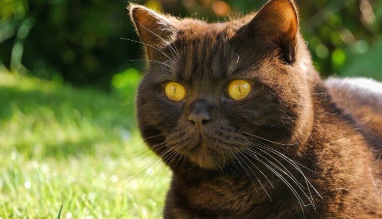 سری شصت و هشتم والپیپر برای کامپیوتر   Beautiful Wallpapers