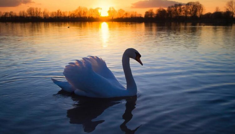 سری شصت و هشتم والپیپر برای کامپیوتر   Beautiful Wallpapers