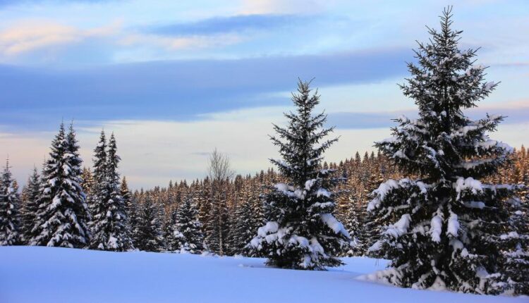 سری شصت و هشتم والپیپر برای کامپیوتر   Beautiful Wallpapers