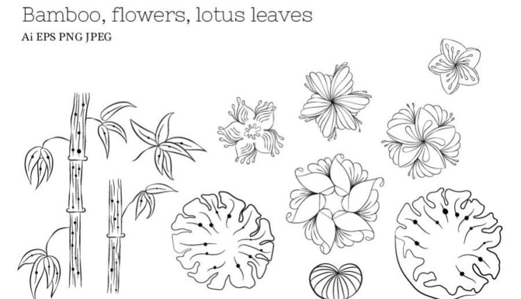 مجموعه وکتور عناصر طراحی و تزئینی ژاپنی   Zenart Japanese