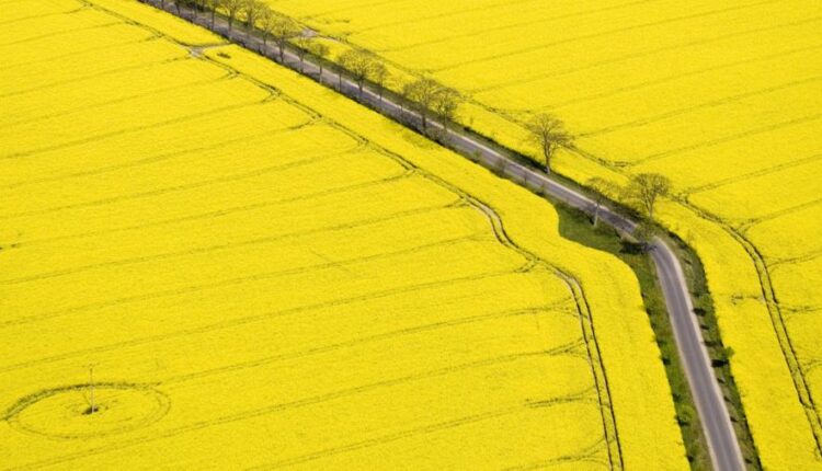 سری پنجاه و نهم تصویر زمینه های گوشی   Beautiful Wallpapers