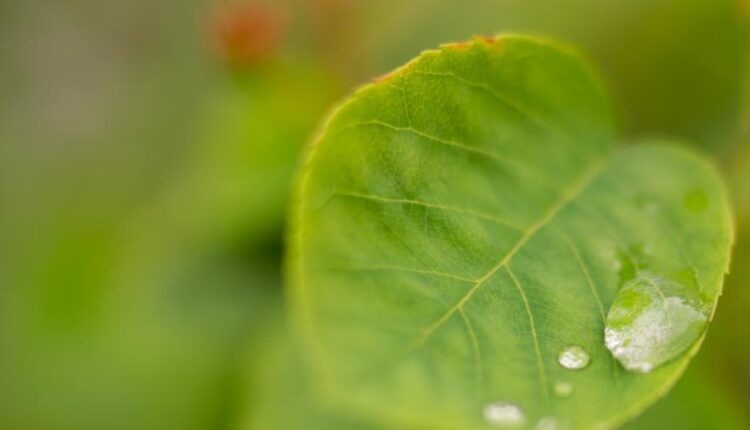 سری پنجاه و نهم تصویر زمینه های گوشی   Beautiful Wallpapers