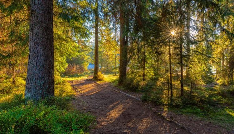 سری پنجاه و نهم تصویر زمینه های گوشی   Beautiful Wallpapers