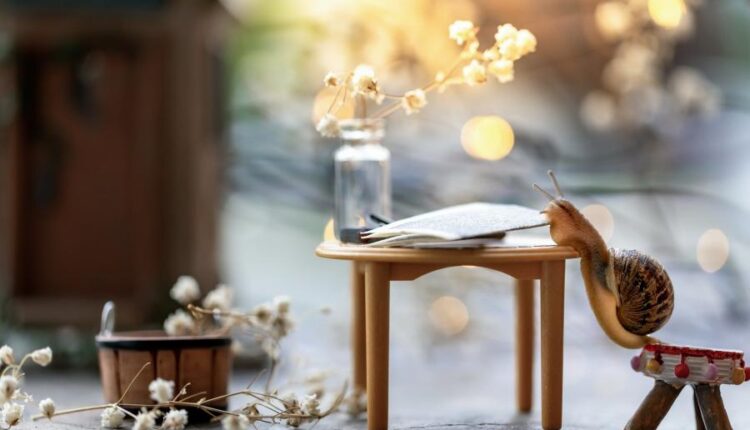 سری پنجاه و نهم تصویر زمینه های گوشی   Beautiful Wallpapers