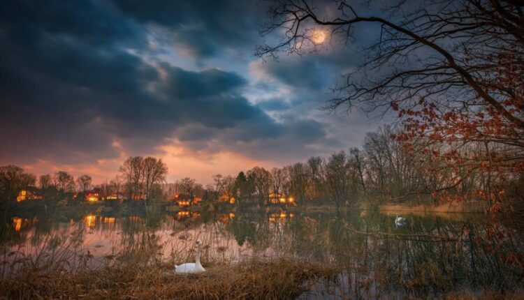 سری پنجاه و نهم تصویر زمینه های گوشی   Beautiful Wallpapers