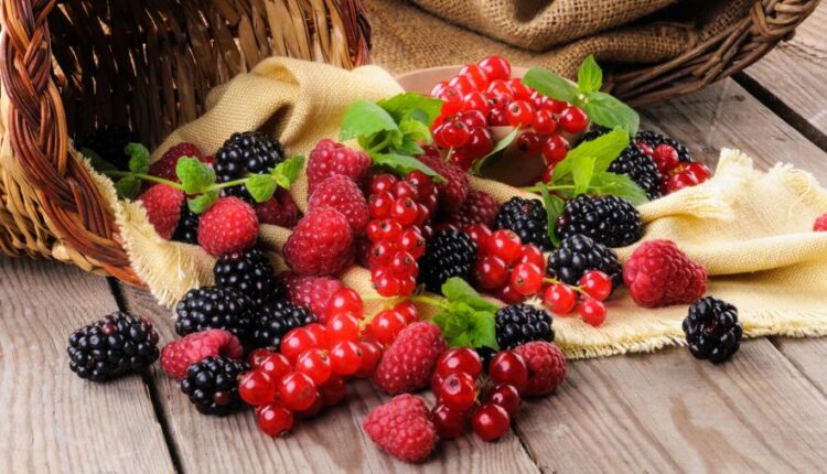 سری پنجاه و نهم تصویر زمینه های گوشی   Beautiful Wallpapers