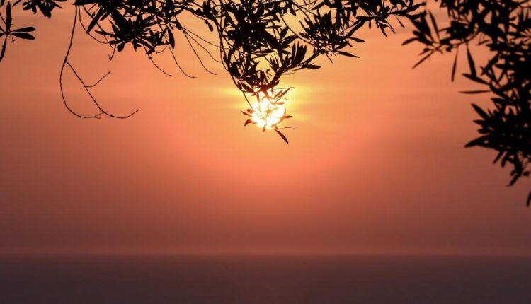 سری پنجاه و نهم تصویر زمینه های گوشی   Beautiful Wallpapers