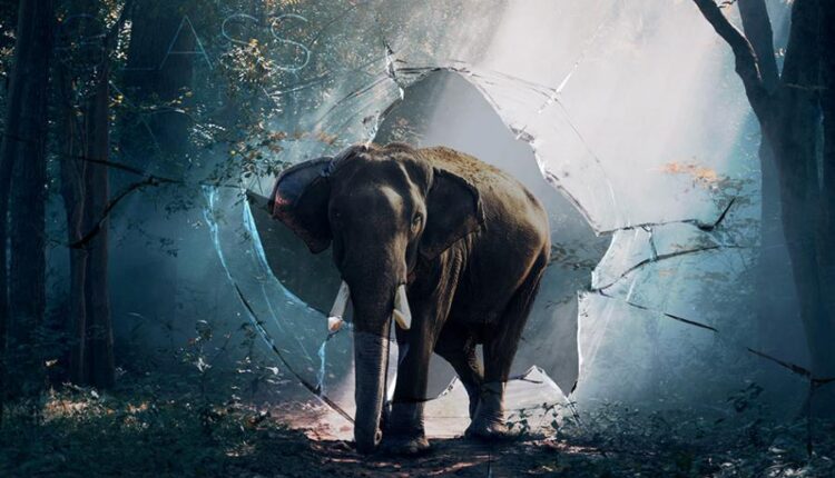 افکت و تکسچر شیشه شکسته   10 Broken Glass Textures Mock up