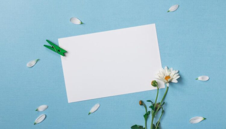 عکس با کیفیت پس زمینه با کاغذ سفید   Summer Background