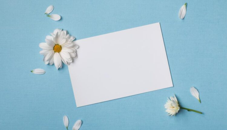 عکس با کیفیت پس زمینه با کاغذ سفید   Summer Background