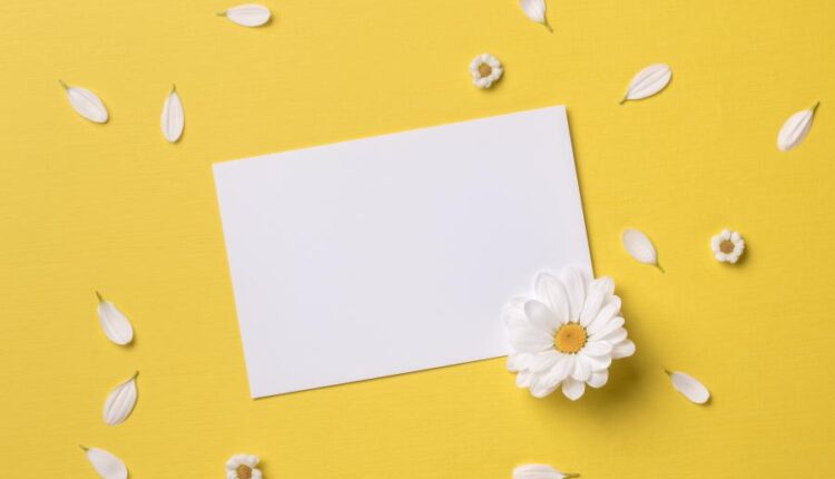 عکس با کیفیت پس زمینه با کاغذ سفید   Summer Background