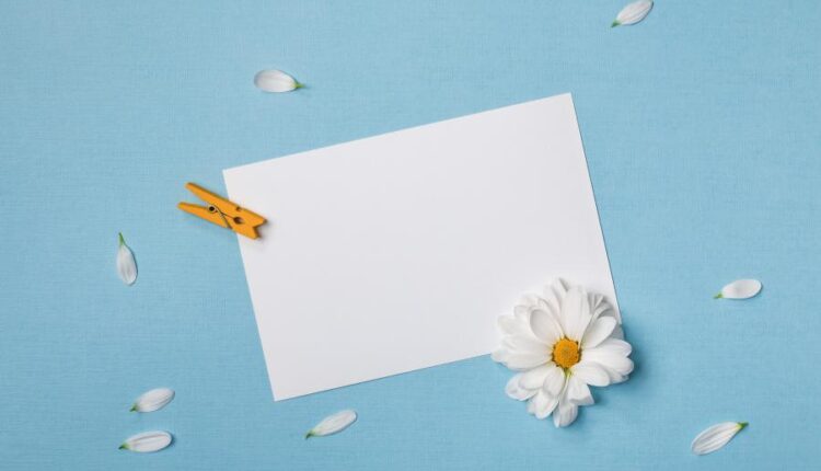 عکس با کیفیت پس زمینه با کاغذ سفید   Summer Background