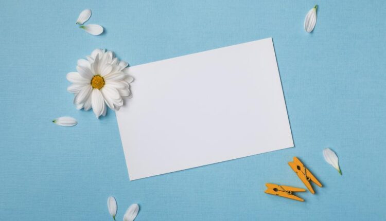 عکس با کیفیت پس زمینه با کاغذ سفید   Summer Background