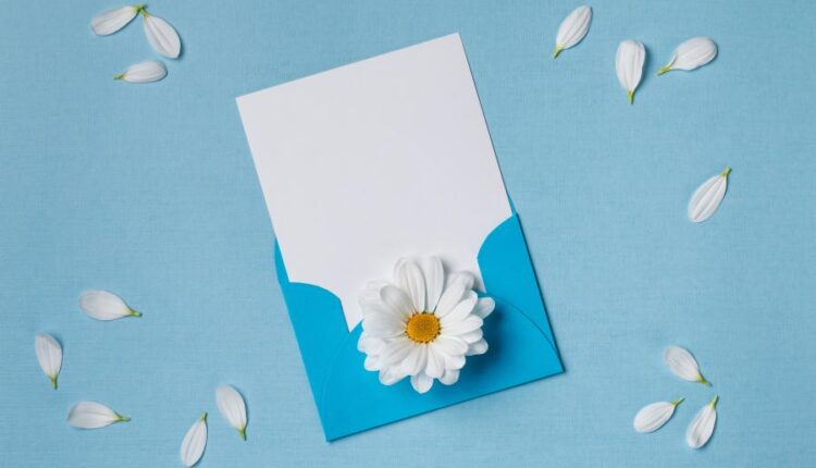 عکس با کیفیت پس زمینه با کاغذ سفید   Summer Background