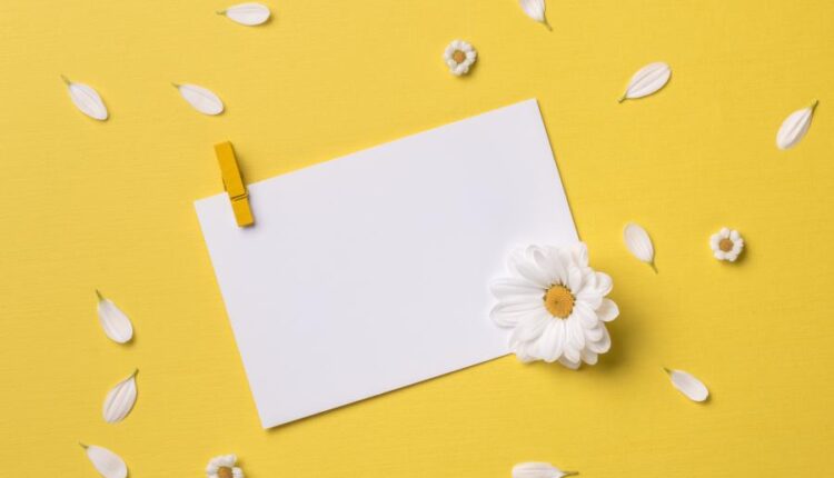 عکس با کیفیت پس زمینه با کاغذ سفید   Summer Background