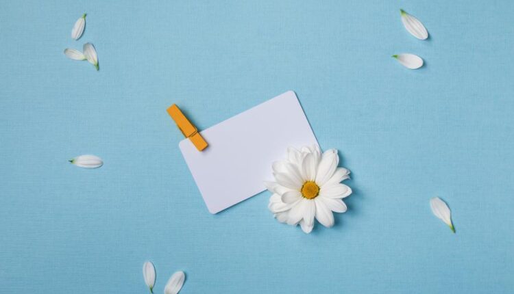 عکس با کیفیت پس زمینه با کاغذ سفید   Summer Background