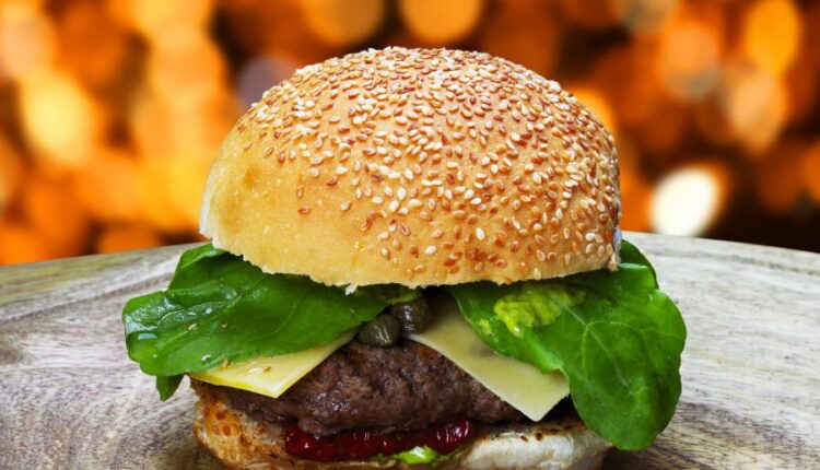 عکس استوک همبرگر و چیزبرگر اشتهاآور   Appetizing hamburger