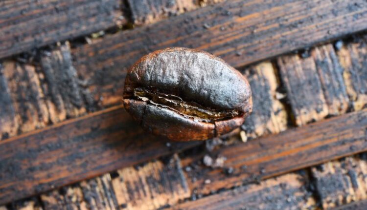 عکس استوک قهوه و دانه های رست شده آن   beans and flavored