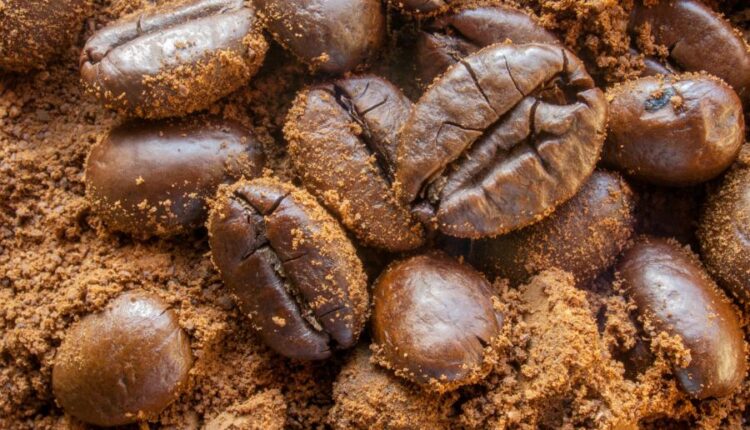 عکس استوک قهوه و دانه های رست شده آن   beans and flavored