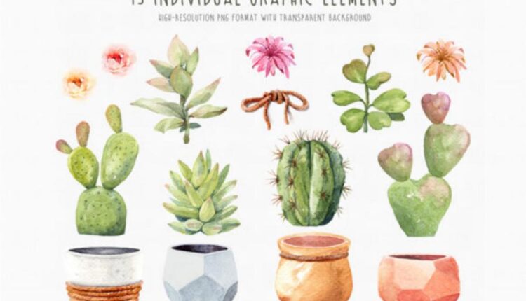 عکس png کاکتوس های آبرنگی   Watercolor Cactus Pot